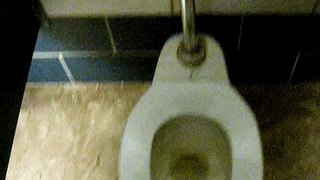 17: Crane Plumbing toilet