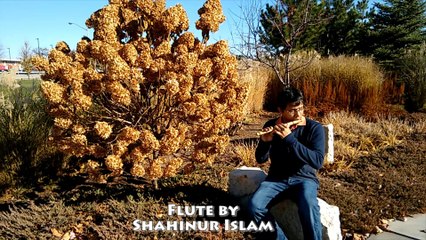 তুই ফেলে এসেছিস কারে মন..বাঁশি