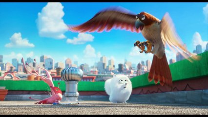 The Secret Life of Pets - Where is Max