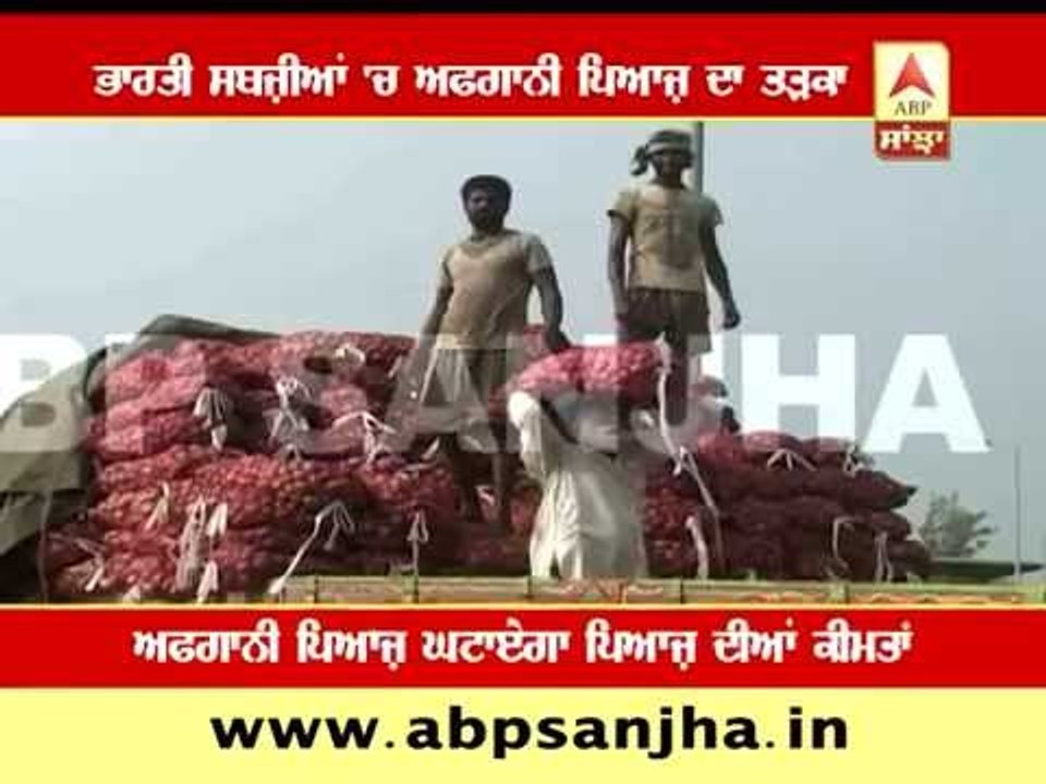 Onion From Afgan imported