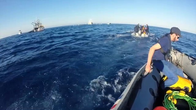 La pêche au thon rouge sous haute surveillance