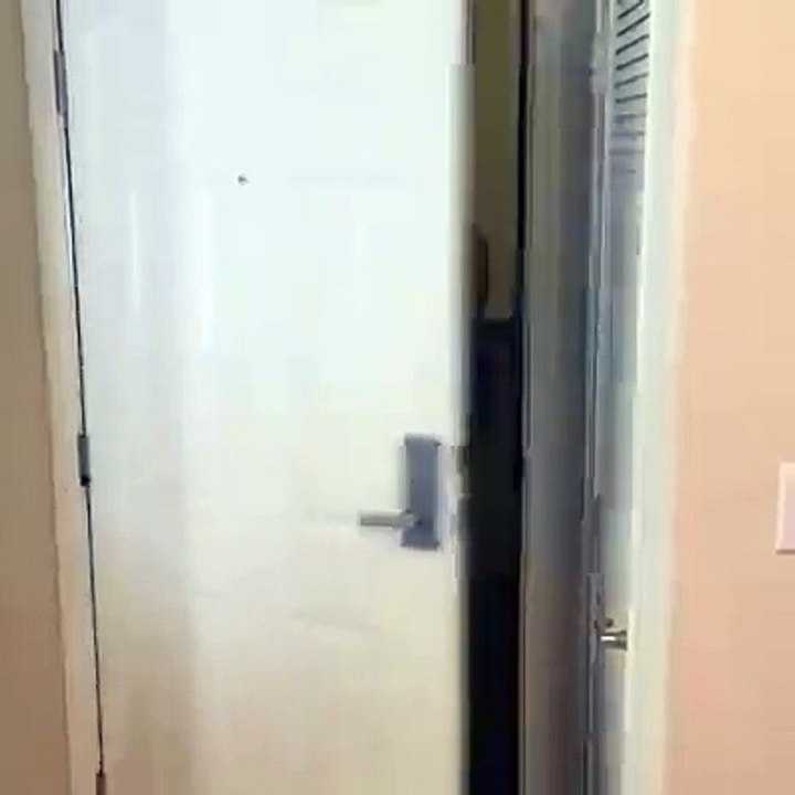 Prank Boys will be boys