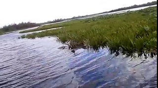 delta 2010 mila 23 - pe canale si lacuri