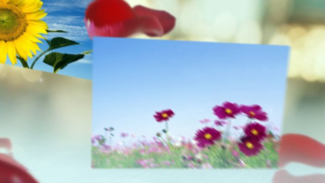 משלוחי פרחים - פרחי גורדון