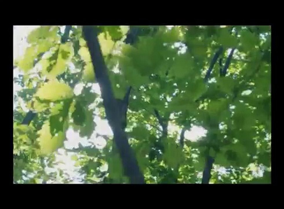 bts kookv, vkook (taehyung ver)