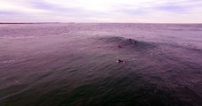 The Phantom snaking waves at Town Beach Port Macquarie