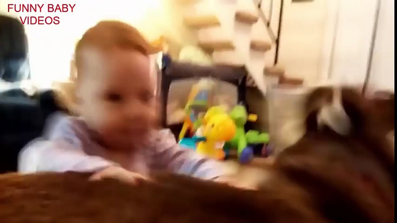 Top 10 Funny Baby Videos New 2016