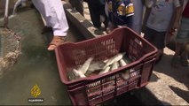 Pakistan to revitalise trout-farming business