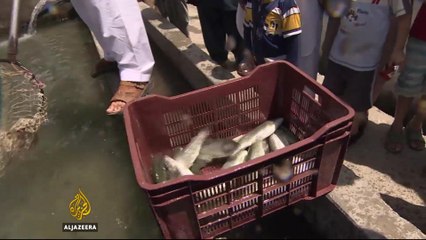 Pakistan to revitalise trout-farming business