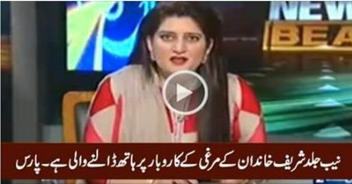 NAB jald sharif biradran ke murgi ke karobar mai haath dalne wali he - Anchor Paras