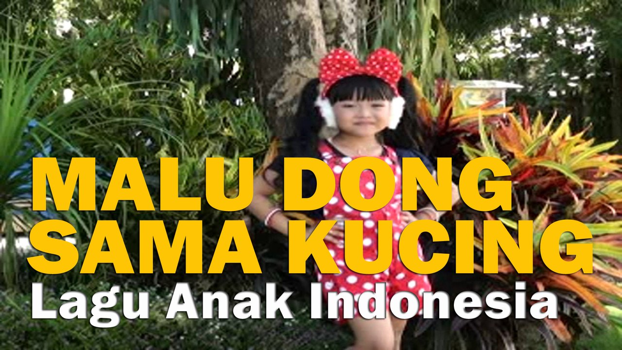 MALU DONG SAMA KUCING Lagu Anak Indonesia