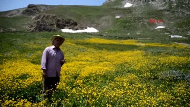 Hakkari Berçelan'da Dört Mevsim