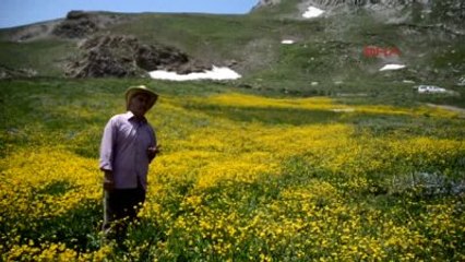 Hakkari Berçelan'da Dört Mevsim