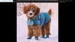 All Weather Dog Coats Blog Glasgow, United Kingdom