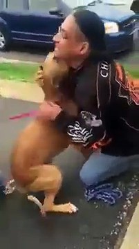 Ce chien retrouve son maitre après 2 ans d'absence : trop mignon