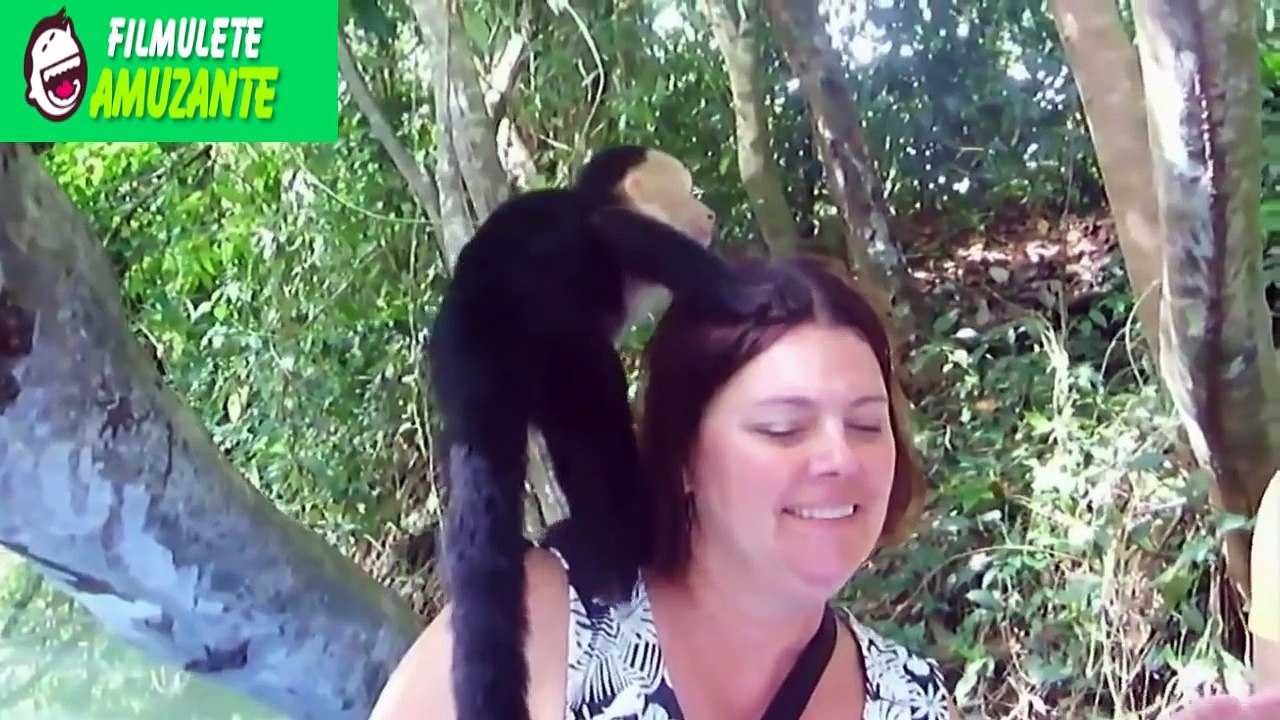 ▶ Best Funny Animals Videos and Pets- ★ February 2016 ★ Funny videos of animals