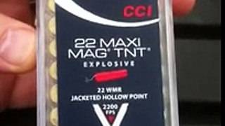 cci 30-grain TNT hollow point .22 MAG