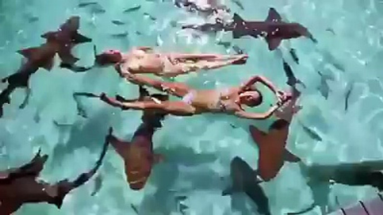 Interesting videoclip of funny