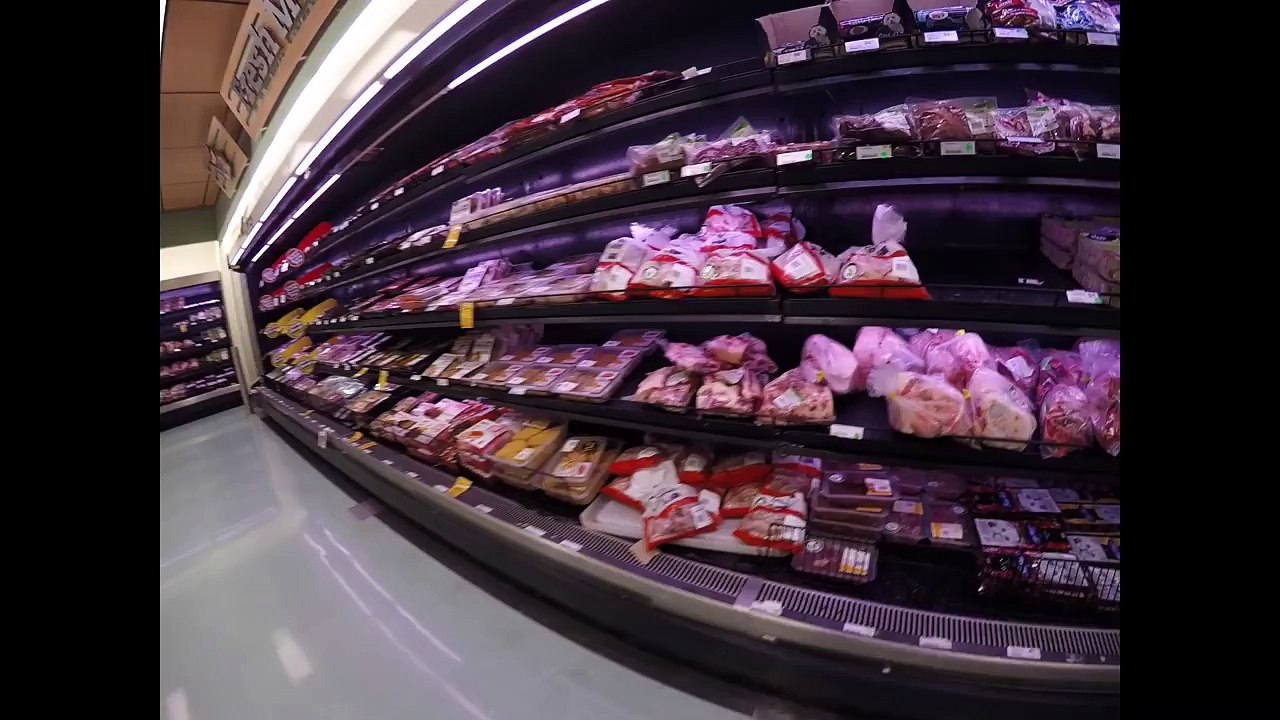 Catching HUGE EELS Out of small Creek (CRAZY)