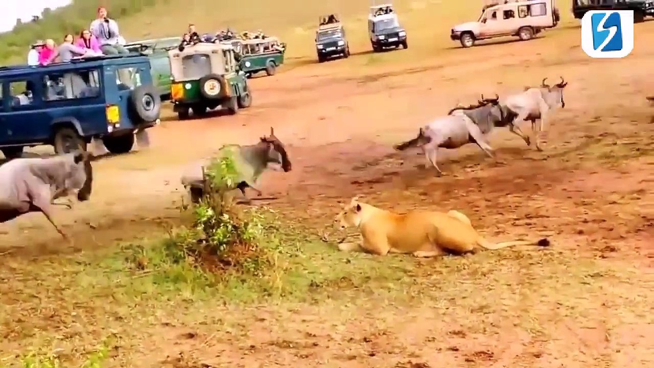 Kadın ve Erkekler Arasında Alışveriş Farkı