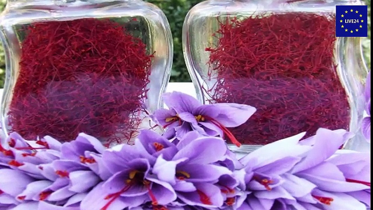 Ddie 10 teuersten Lebensmittel der Welt