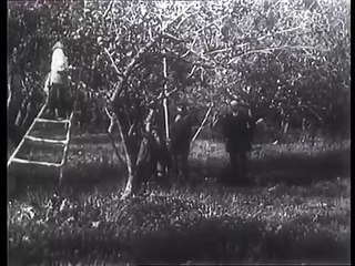 Лев Николаевич Толстой в Ясной Поляне. (Лето)