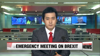 Korean government holds emergency meeting on Brexit