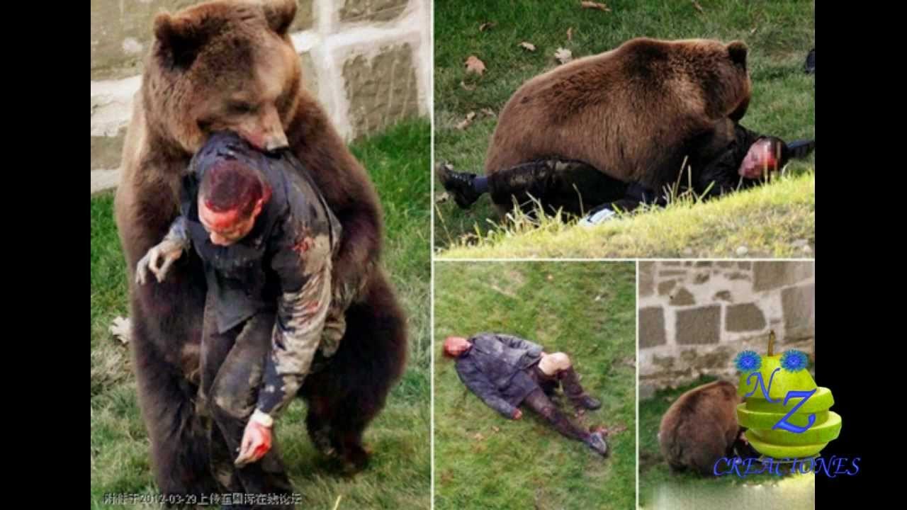 animal attacks on humans