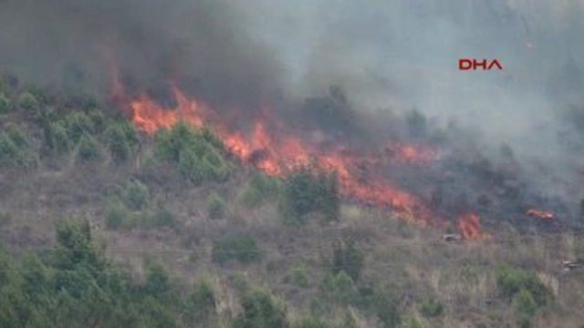 Antalya Tatil Merkezi Adrasan'da Orman Yangını -9