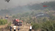 Antalya Tatil Merkezi Adrasan'da Orman Yangını -10