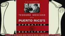 behold  Teodoro Moscoso and Puerto Ricos Operation Bootstrap