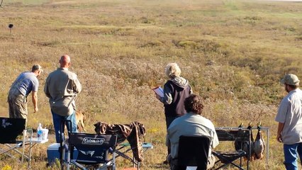 AKC Junior Hunt Test - Ozzy Land 10/25/14