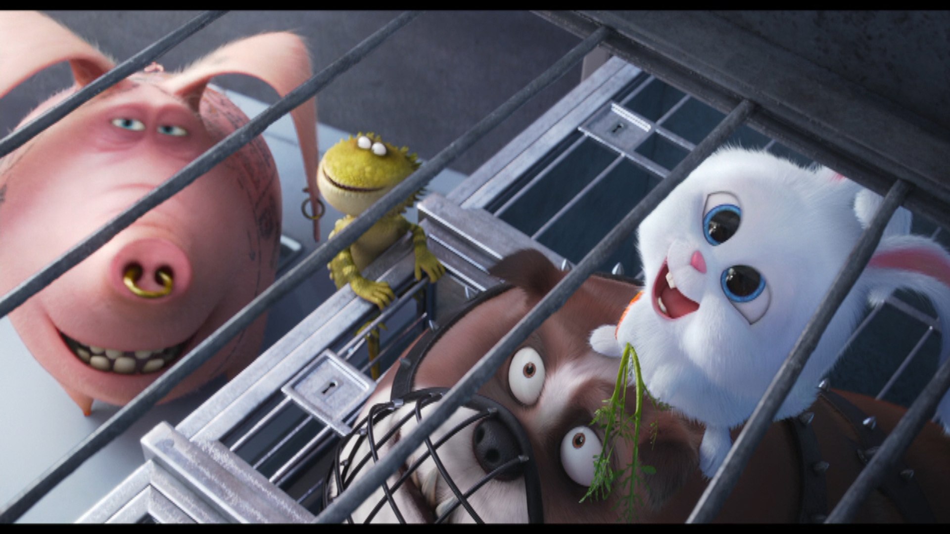 ⁣This Bunny Is Awesome In 'The Secret Life Of Pets' Clip