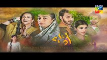 Udaari Episode 12 HD Full Hum TV Drama 26 June 2016