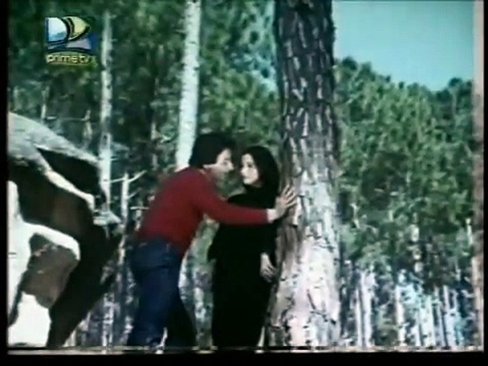 PARWANA (1985) - Main Na Bhulaunga Waade Qasmen - (Mehdi Hassan, Mehnaz) - (Nadeem, Babra Sharif)