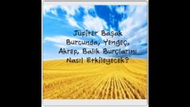 Su Grubu (Yengeç, Akrep, Balık) Jüpiter Geçişinden Nasıl Etkileniyor?