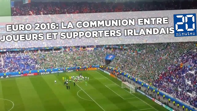 Euro 2016: Joueurs et supporters irlandais communient après le coup de sifflet final