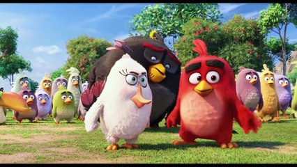 THE ANGRY BIRDS - Movie CLIP # 2 (2016)