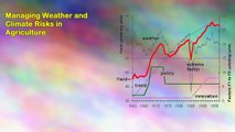 Managing Weather and Climate Risks in Agriculture