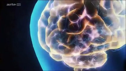 Documentaire, Mathématiques, langage de l'univers