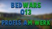 Let's Play Minecraft Bedwars #013 - Profis am Werk - [1080p] [GERMAN/DEUTSCH]
