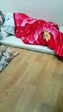 Pakistani Boy bursting on Afghan Namak Harams