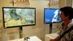 Rupees found in The Legend of Zelda : Breath of the Wild E3 demo