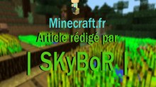 Skybor Mc.fr