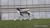 SpotMini, el perro robot de Google que recicla y pone el lavavajillas