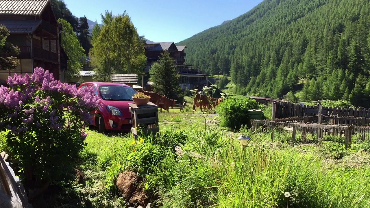 Devant ma porte ce dimanche matin !