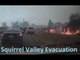 Video Shows Horses Being Evacuated From California's Erskine Fire