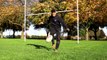 AMAZING Skills - F2 Tv - Rugby!!! | F2 | Billy Wingrove & Jeremy Lynch