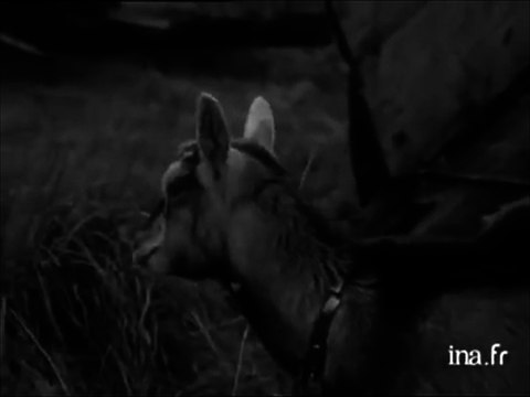 Non Non Non (à l'aéroport, aux expulsions) la ZAD vaincra