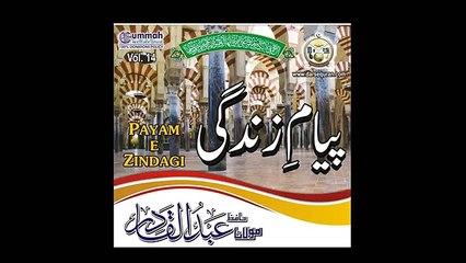 Mustafa Mujtaba I Hafiz Abdul Qadir (Vol 14) 2016